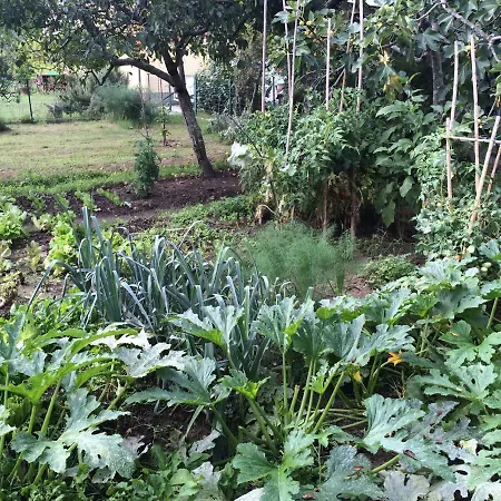 Frühstückspension Residenza Il Casone