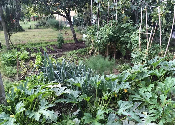 Nocleg ze śniadaniem Residenza Il Casone