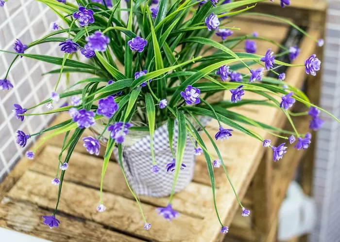 Residenza Il Casone 3* Castiglione del Lago